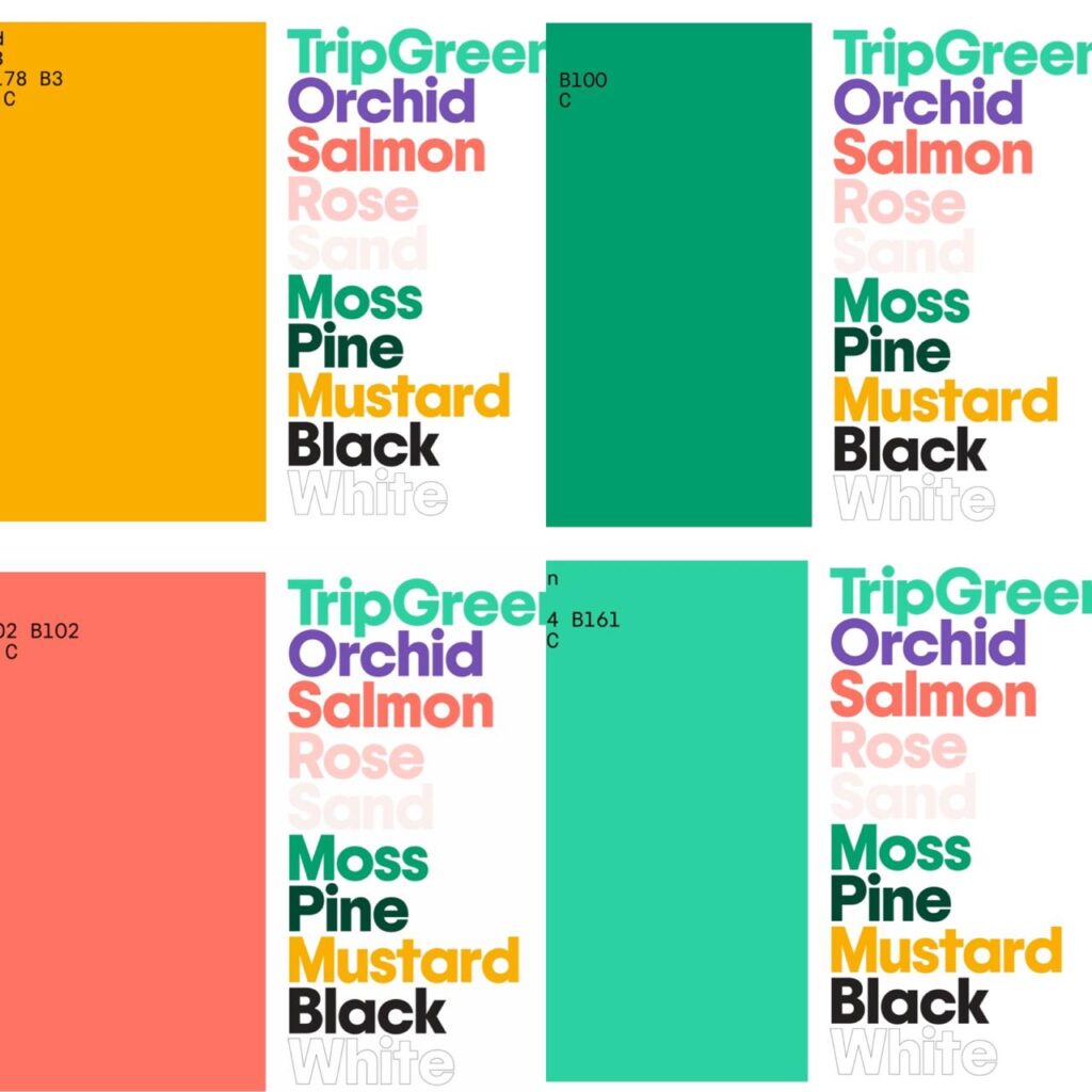 tripadvisor7